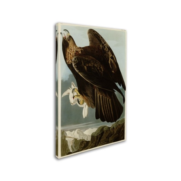 Audubon 'Golden Eagleplate 181' Canvas Art,22x32